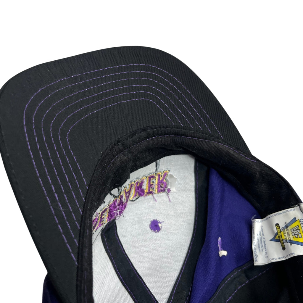 Vintage 1994 WWF The Undertaker Rare Embroidery Wrestling Hat (OSFA)